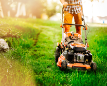 Entretien de jardin : Comment prendre soin de votre espace vert ?