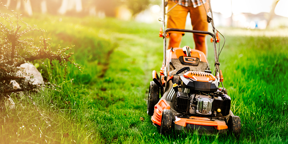 Entretien de jardin : Comment prendre soin de votre espace vert ?