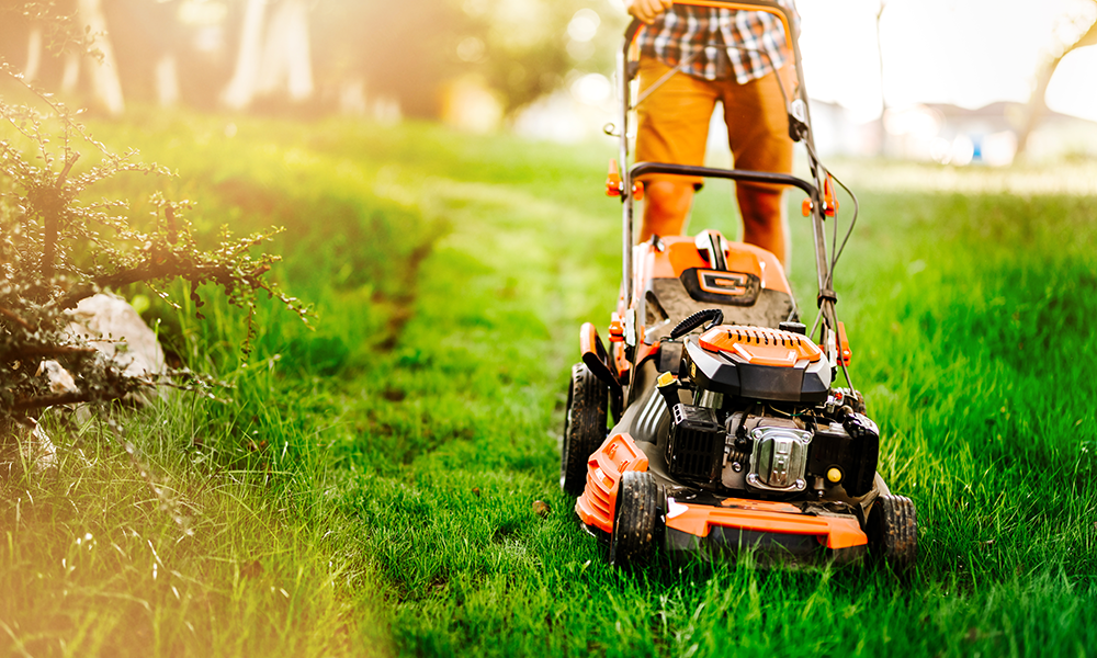 Entretien de jardin : Comment prendre soin de votre espace vert ?