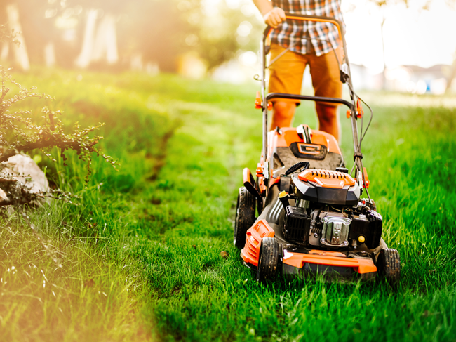 Entretien de jardin : Comment prendre soin de votre espace vert ?