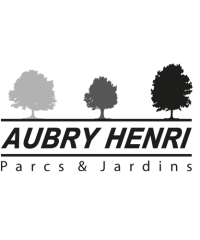 Aubry Henri